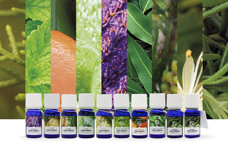 Aceites esenciales para humidificador